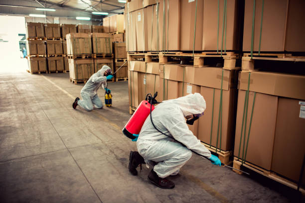 Flea Control Services in Westchester, IL
