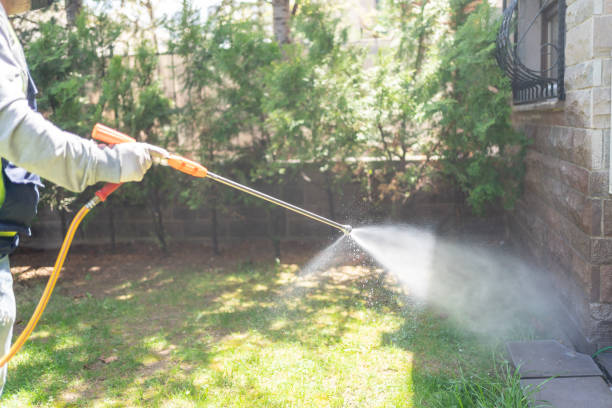 Bird Control in Westchester, IL