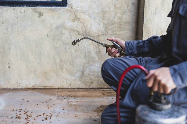 Professional Pest Control in Westchester, IL